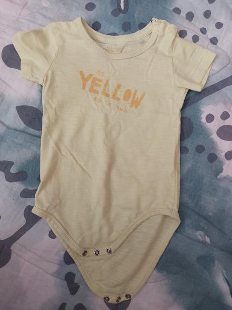 Body 80, reserved,80