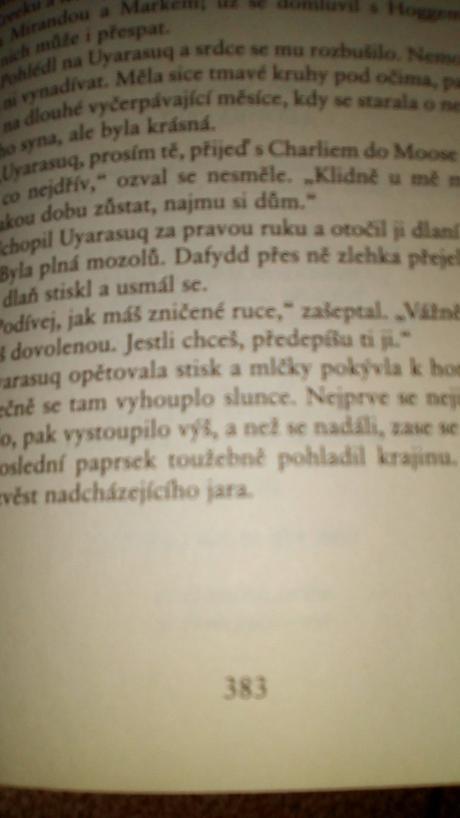 Dobrodružný román, 