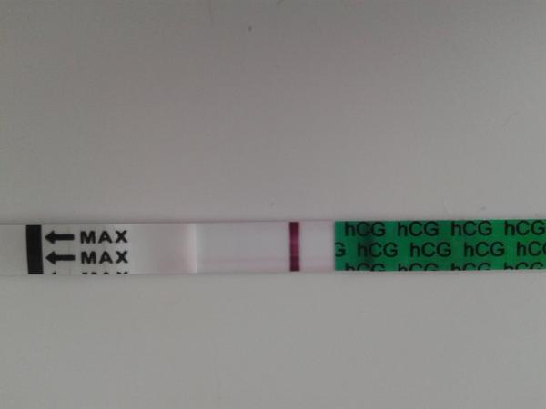 Tt v den očekávané ms. Co myslíte?