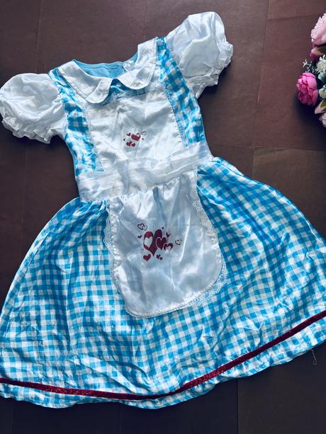 An3/ kostým dorotka ze země oz - v.6/8 let,