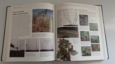 Kniha praktická encyklopedie zahrady,