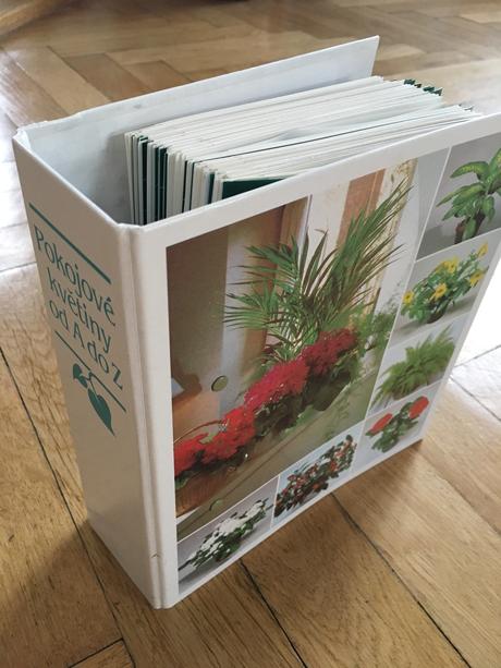 Kniha pokojové květiny od a do z, 