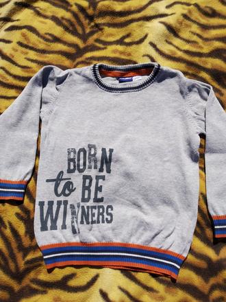 Klučičí svetřík, lupilu,98