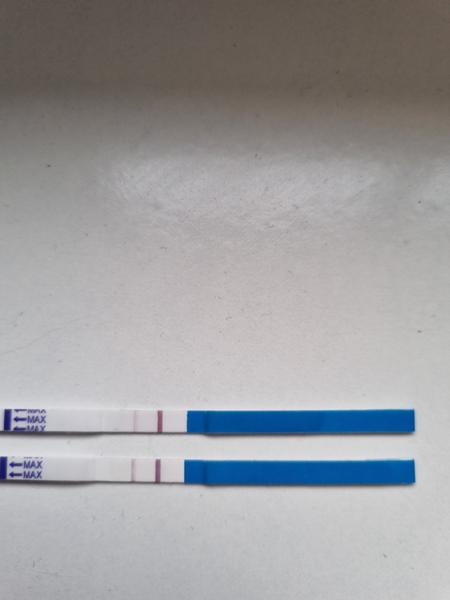 Těhotenský test a zpoždění. Je čárka dostatečně silná?