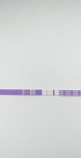 Myslíte, že se fakt zadařilo?