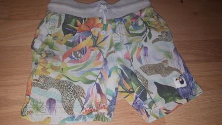 Kratase se zvířátky 98, h&m,98