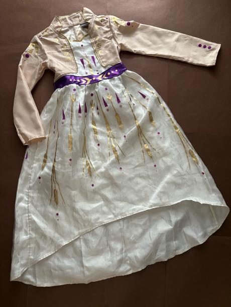 An8/ kostým anna  frozen ii - v.9/10 let, 