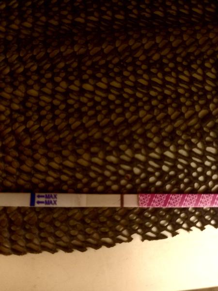 Nejisté výsledky testu. Jak poznat pozitivní těhotenský test?