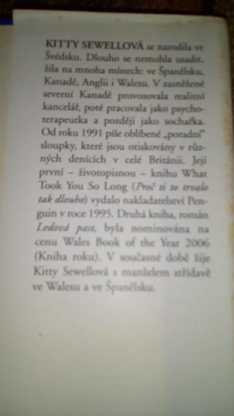 Dobrodružný román, 