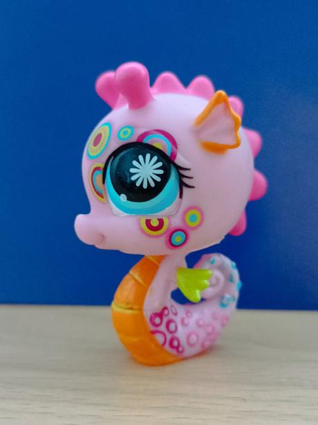 Lps mořský koník zdobený, 