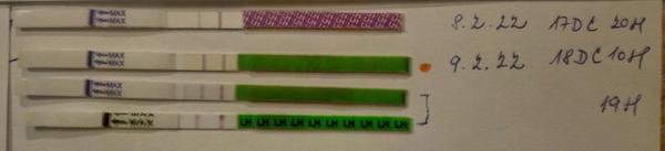 Jak interpretovat těhotenské testy? Pozitivní nebo negativní výsledky?