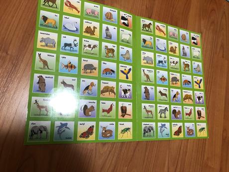 Školní aktovka scout 1-4 třída velká sada,