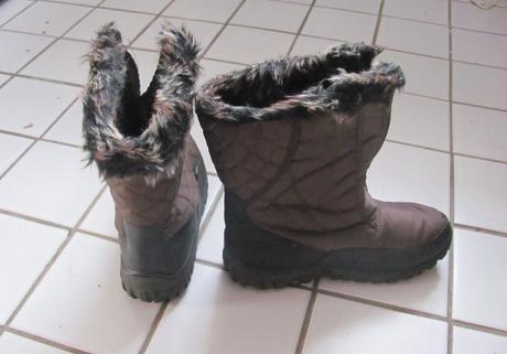 Hnědé sněhule, 40