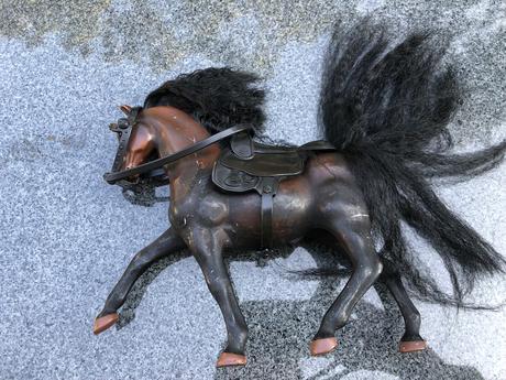 Cerno-hnedy kun s cernou hrivou,