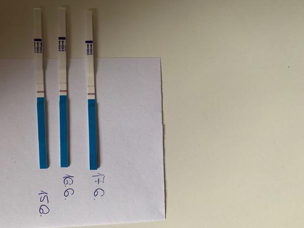 Těhotenský test. Vidíte zesílení?