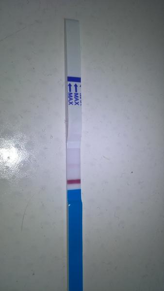 Asi je to tu, co myslíte?