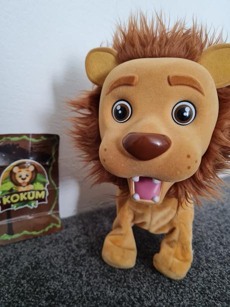 Interaktivní lvíček kokum,