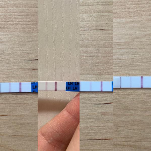 Ovulační testy. Žádny pozitivní, ale přesto byl?