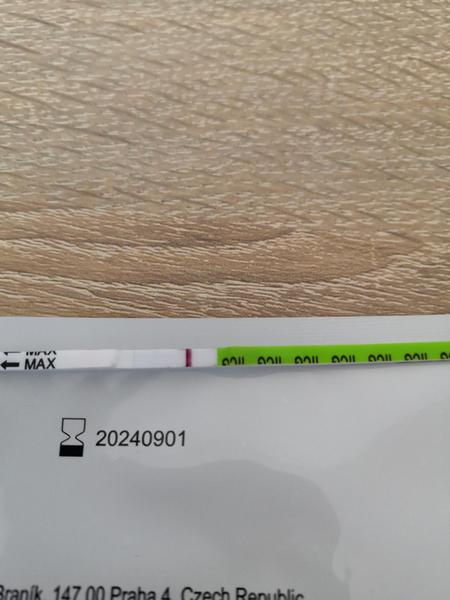 Co vidíte tam v testovacím fóru?