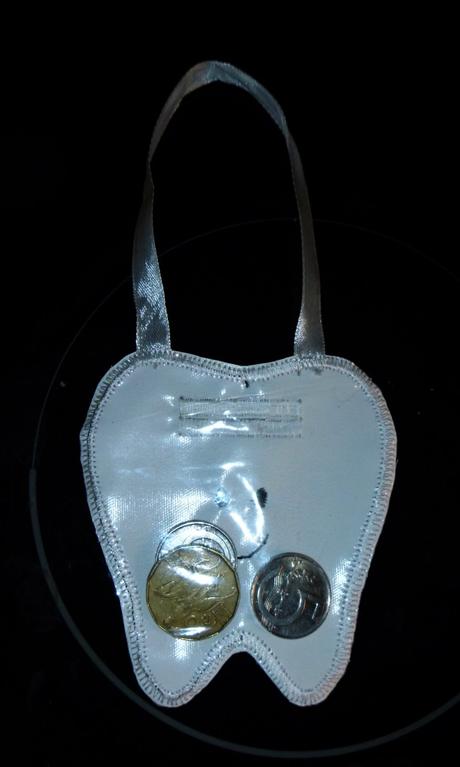 Zoubková kapsička pro zoubkovou vílu,