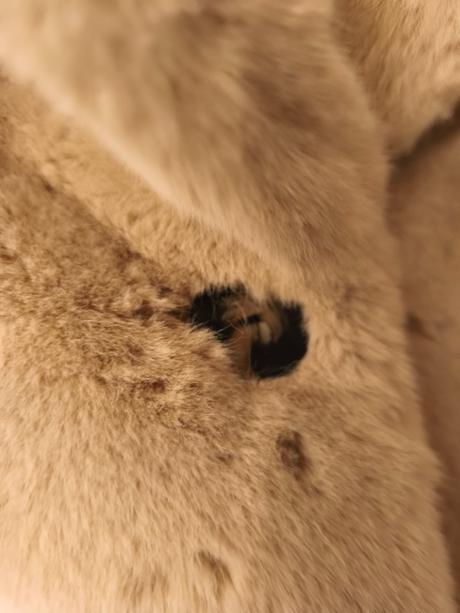 Pudrový kožich zara xs, zara,xs