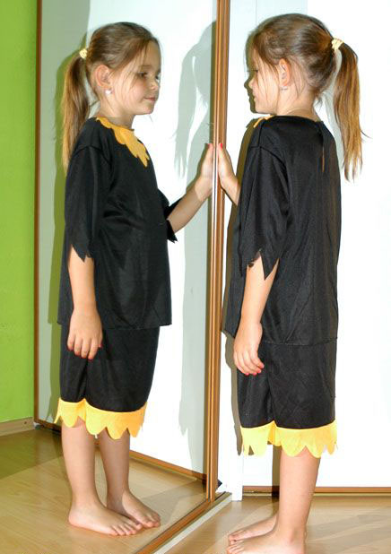 Karnevalový kostým / maska kytička či čarodějnice,