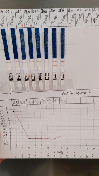 Kdy je ovulace? Tipy pro začátečníky měření teploty