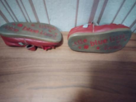 Polobotky, little blue lamb,25