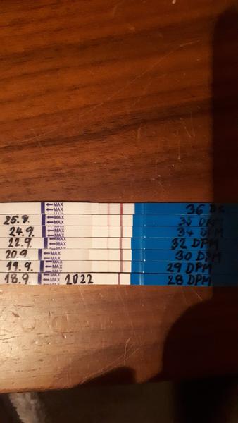 Sílení čárek na těhotenském testu: Mám se obávat?