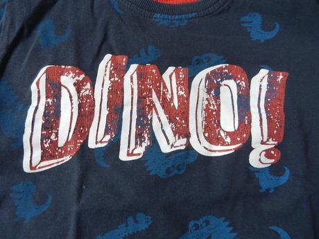 Triko dlouhý rukáv dino, pepco,104