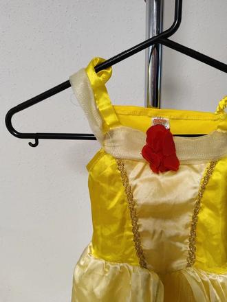 Šípková růženka, 