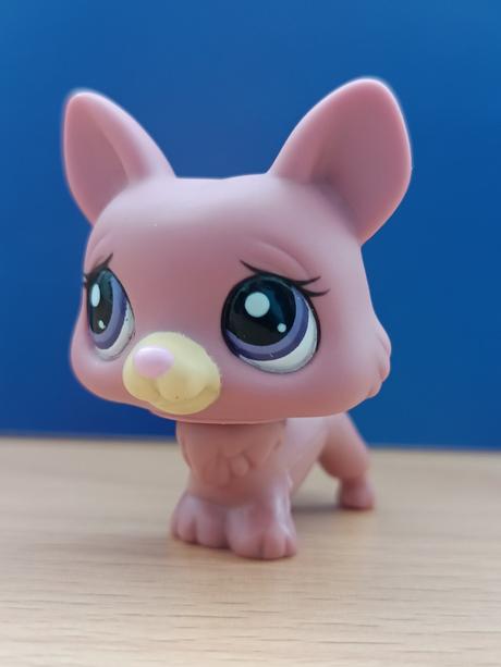 Lps pejsek corgi + růžová kočička + brýle,