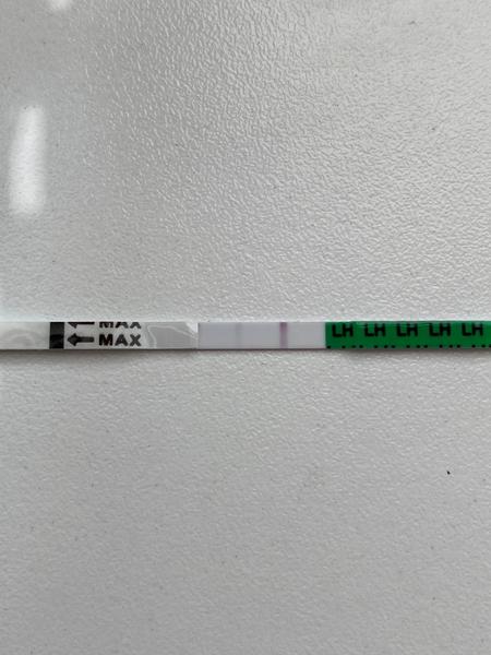 Ovulační test. Myslíte, že mám ovulaci nebo teprve přichází?