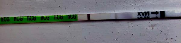 Nové zkušenosti s těhotenskými testy Pepino a Dr. Max