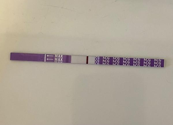 Mamatest: Jak rozlišit mezi ryskou a duchem?