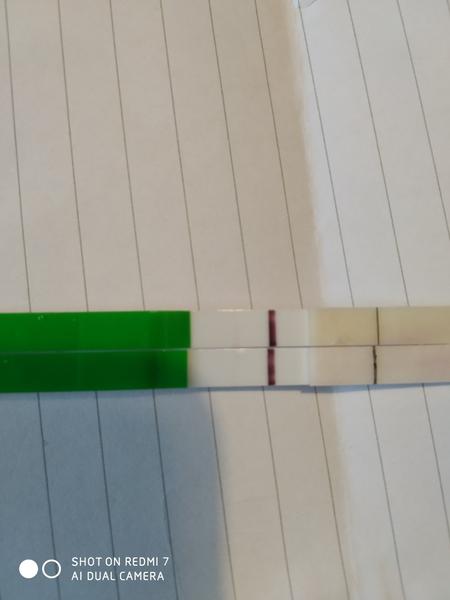 Vidíte na fotografii ducha nebo ne?