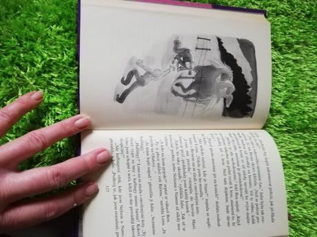 Sada knih o koních,