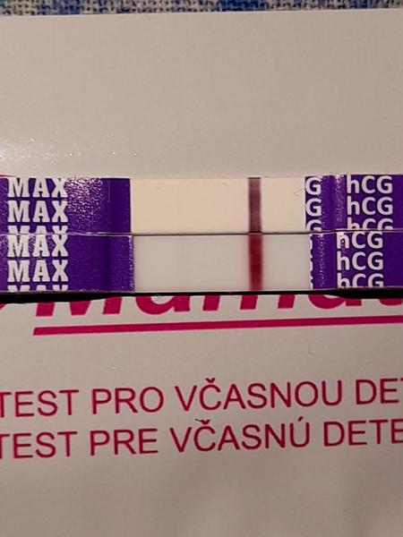 Myslíte, že to vyšlo?