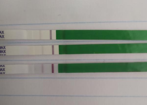 Ovu nebo těhotenství?