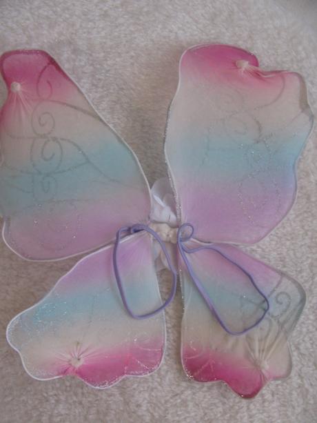 Karneval - krásné motýlí křídla,