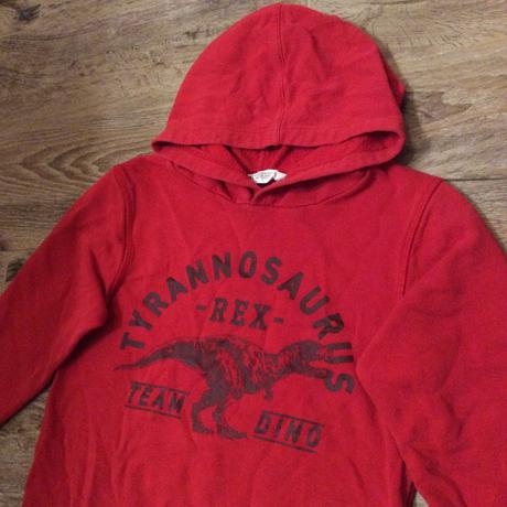 Mikina s dinosaurem zn. h&m, h&m,110