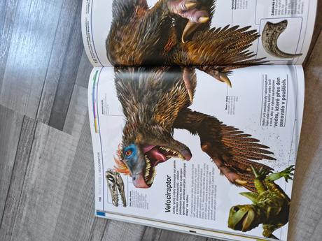 Kniha dinosauři v kostce,