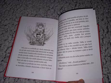 Kniha klementýnka a naprostý blázinec,