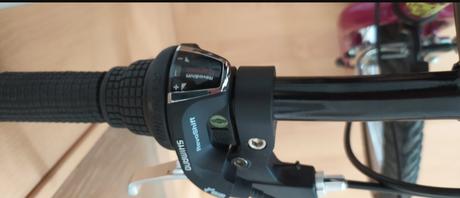 Detske kolo arcore 19 kola, arcore,20