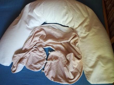 Velky kojici polstar, 