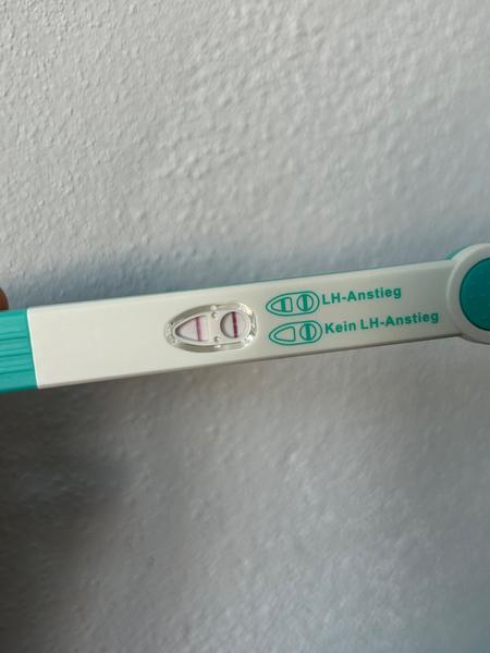 Ovulační pozitivni test při těhotenství?