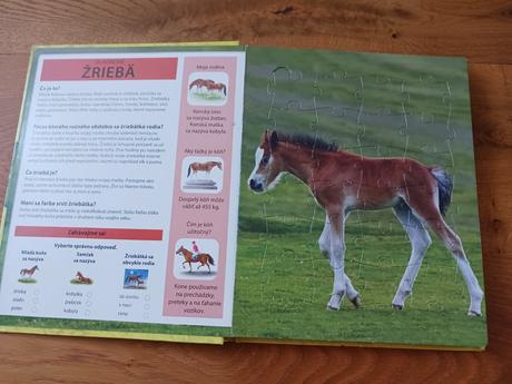 Kniha puzzle, 