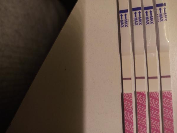 Test Livsane. Máte s ním zkušenost?