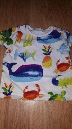 Zvířátkové tričko 50 next, next,50