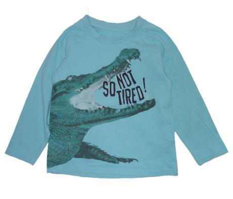 Bavlněné tričko vel. 104, st. bernard,104